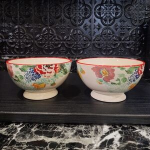 2 Pioneer Woman Country Garden Bowls, Floral Soup Cereal Bowls ,